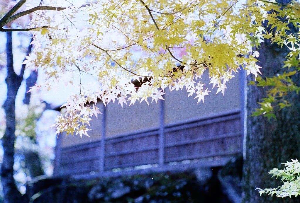 箱根美術館の写真12