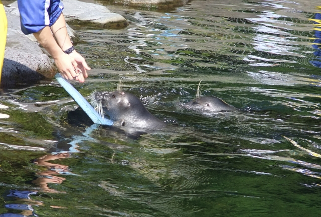 箱根園水族館の写真7