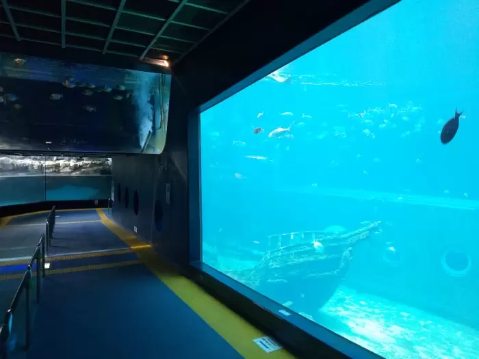 箱根園水族館の写真1