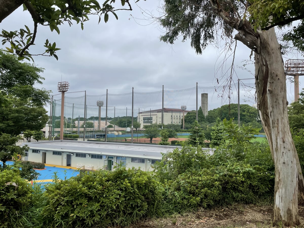 松戸運動公園の写真2