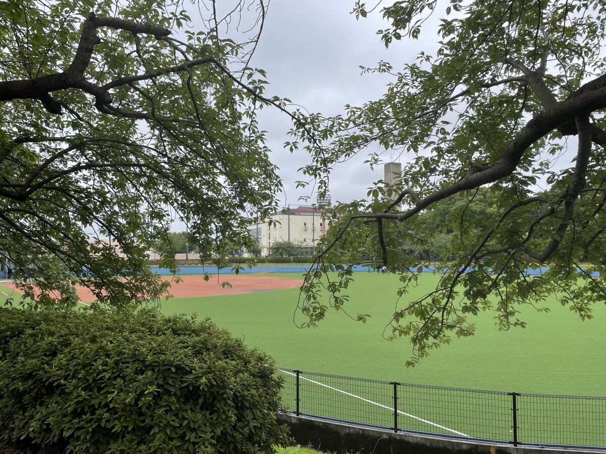 松戸運動公園の写真10