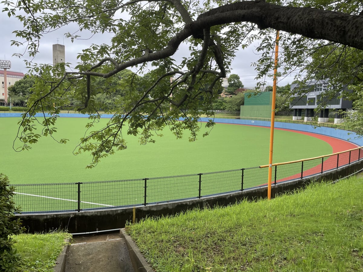 松戸運動公園の写真11