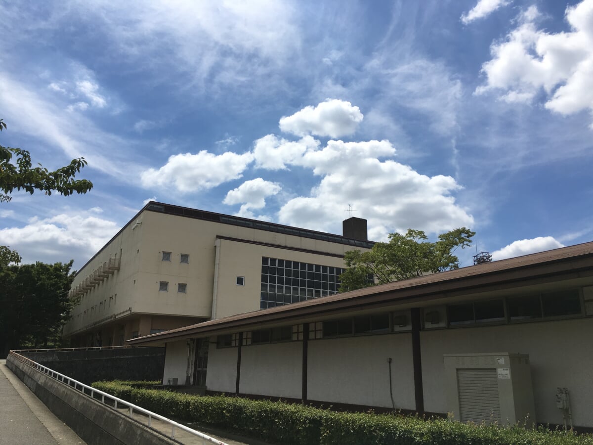 松戸運動公園の写真12