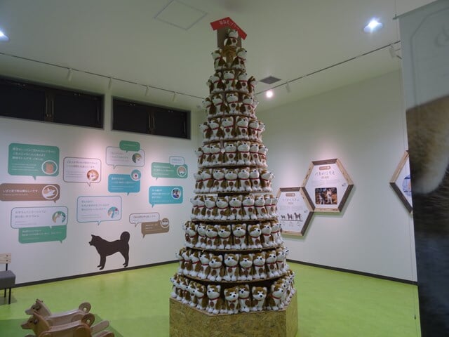 秋田犬の里の写真4