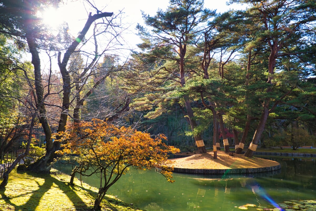旧有備館および庭園の写真2