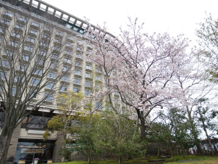 ヒルトン小田原リゾート&スパの写真3