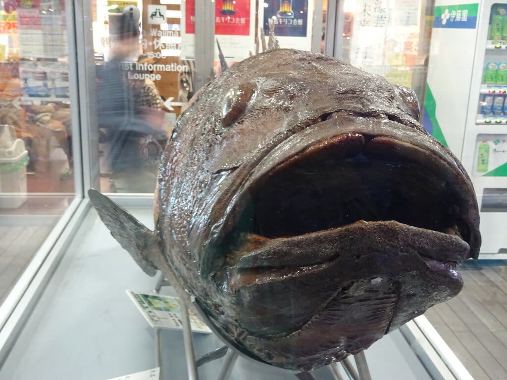 輪島マリンタウン・海の駅 六銘館の写真2