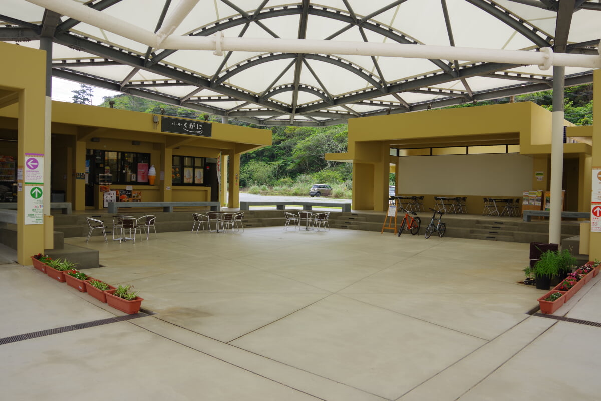 道の駅おおぎみ やんばるの森ビジターセンターの写真2