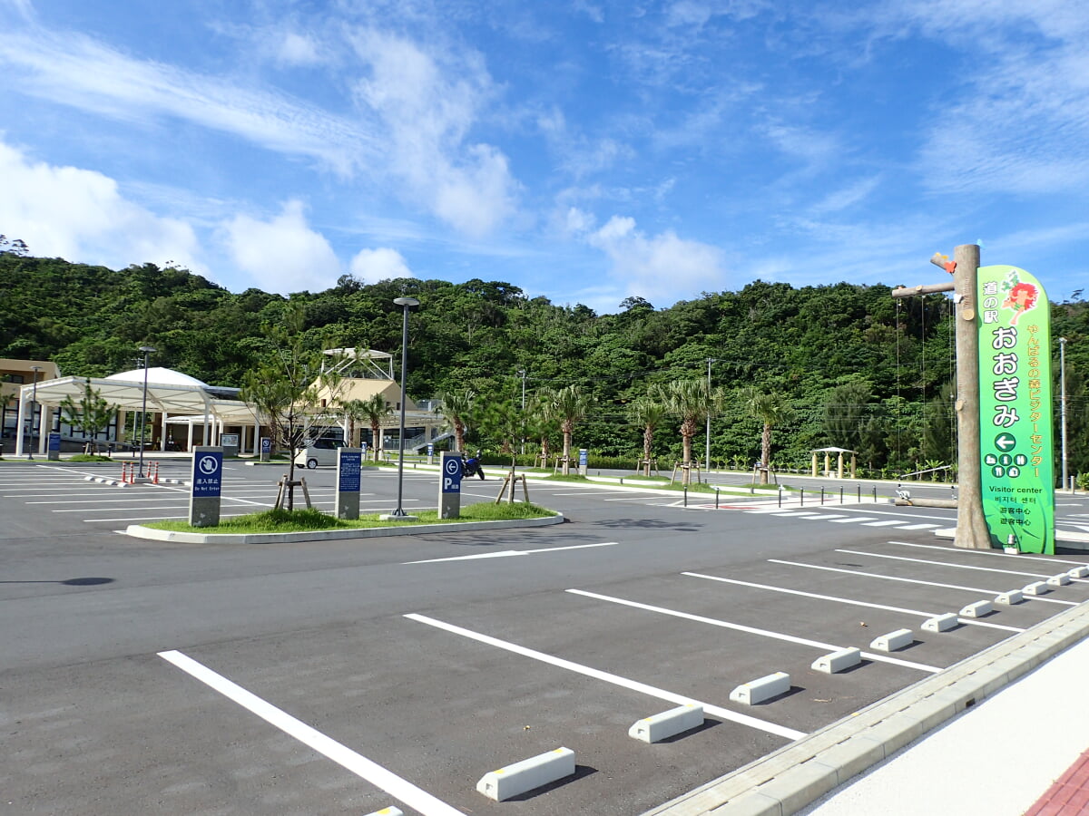 道の駅おおぎみ やんばるの森ビジターセンターの写真6