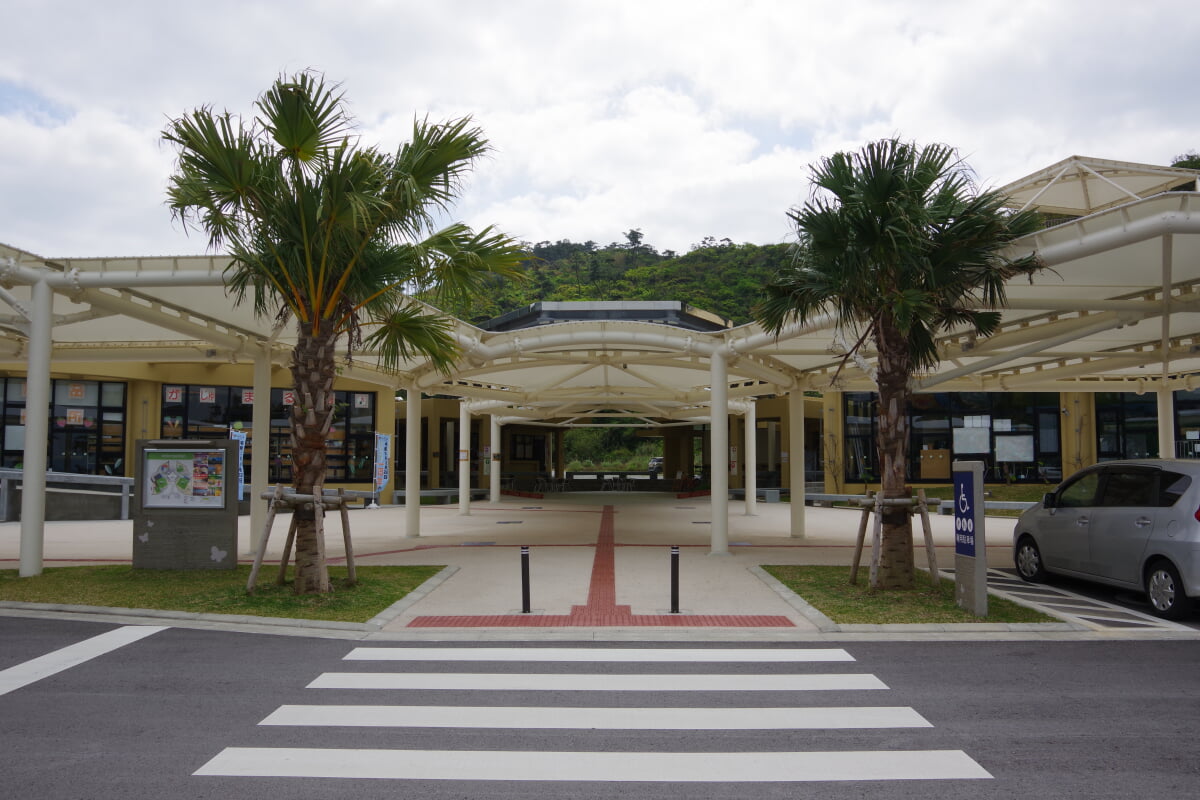 道の駅おおぎみ やんばるの森ビジターセンターの写真1