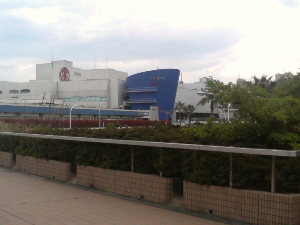 パンジョ(PANJO)の写真1