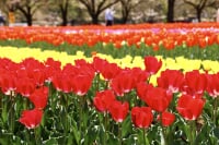 深谷グリーンパーク