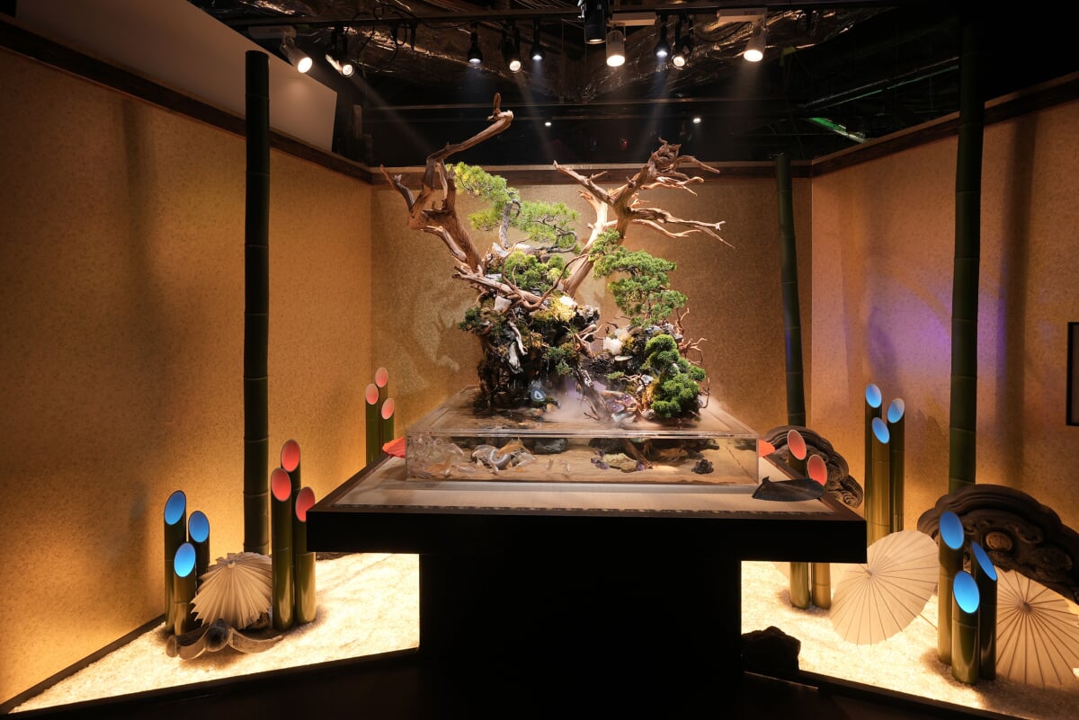 アク和リウムGA☆KYOの写真2