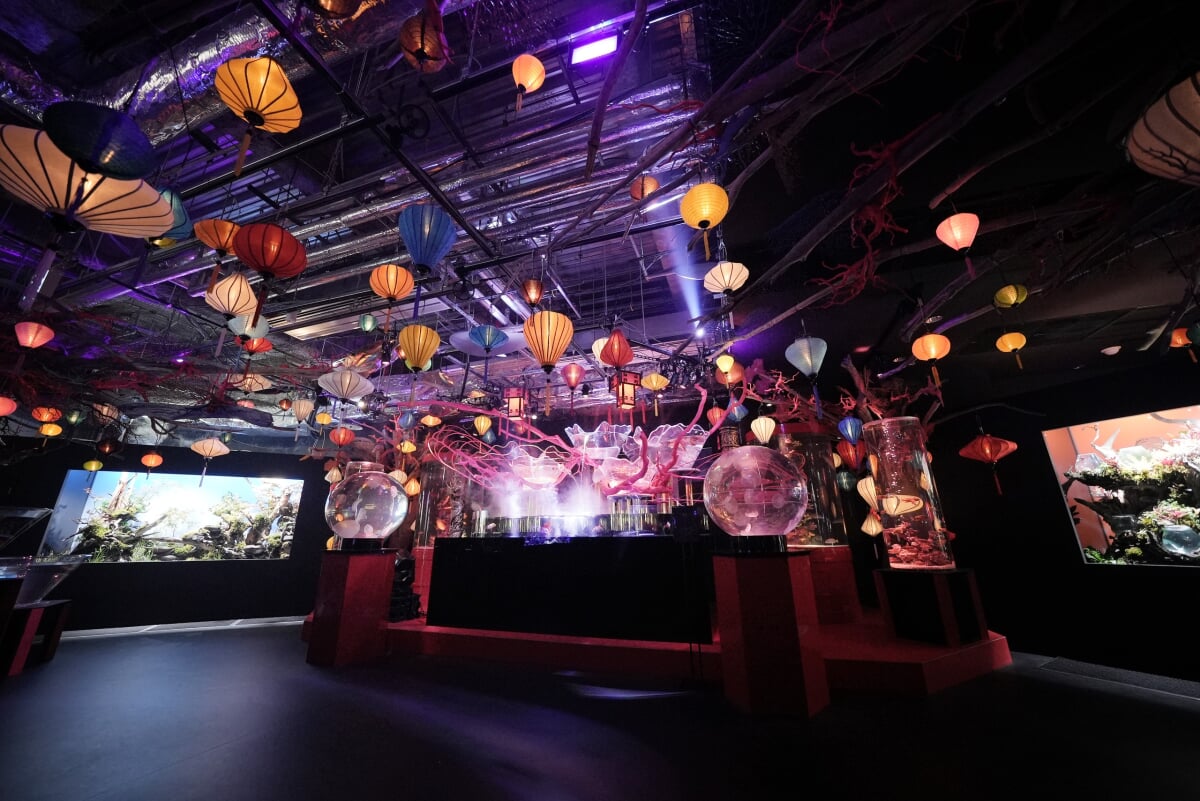 アク和リウムGA☆KYOの写真3