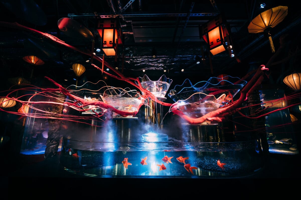 アク和リウムGA☆KYOの写真6