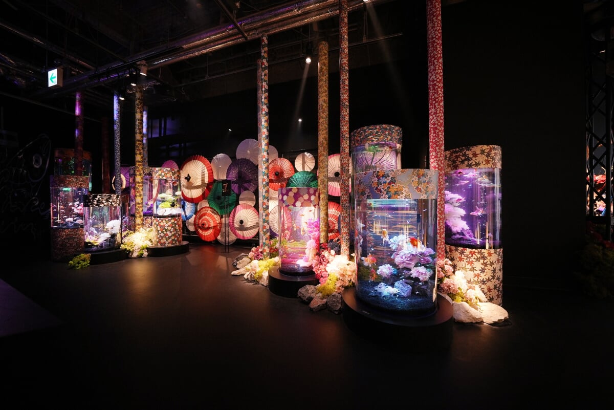 アク和リウムGA☆KYOの写真1