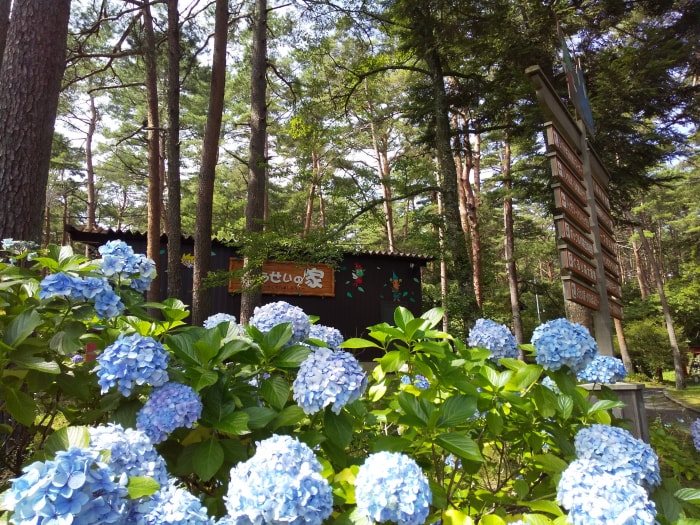 富士すばるランドの写真4