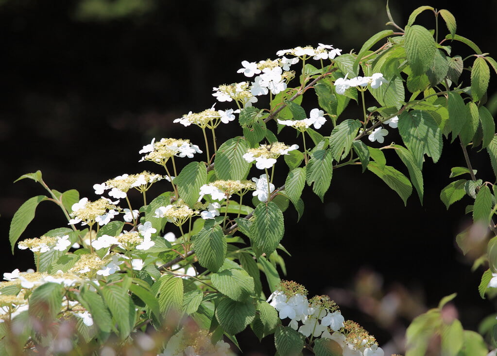 井頭公園の写真4