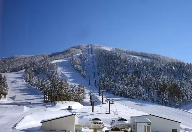 スキージャム勝山の写真1