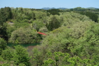 石川県森林公園