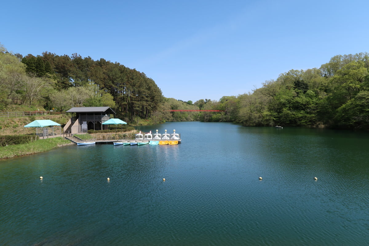 石川県森林公園の写真3