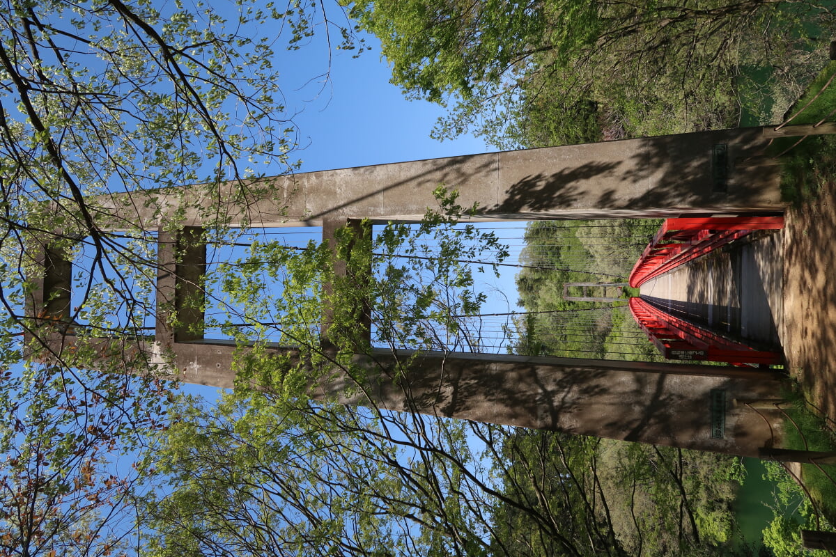 石川県森林公園の写真4