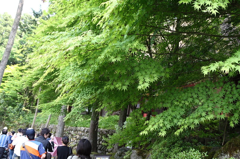 加賀 伝統工芸村 ゆのくにの森の写真3