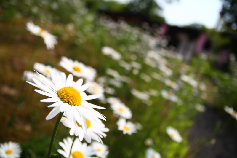 加賀 伝統工芸村 ゆのくにの森の写真4