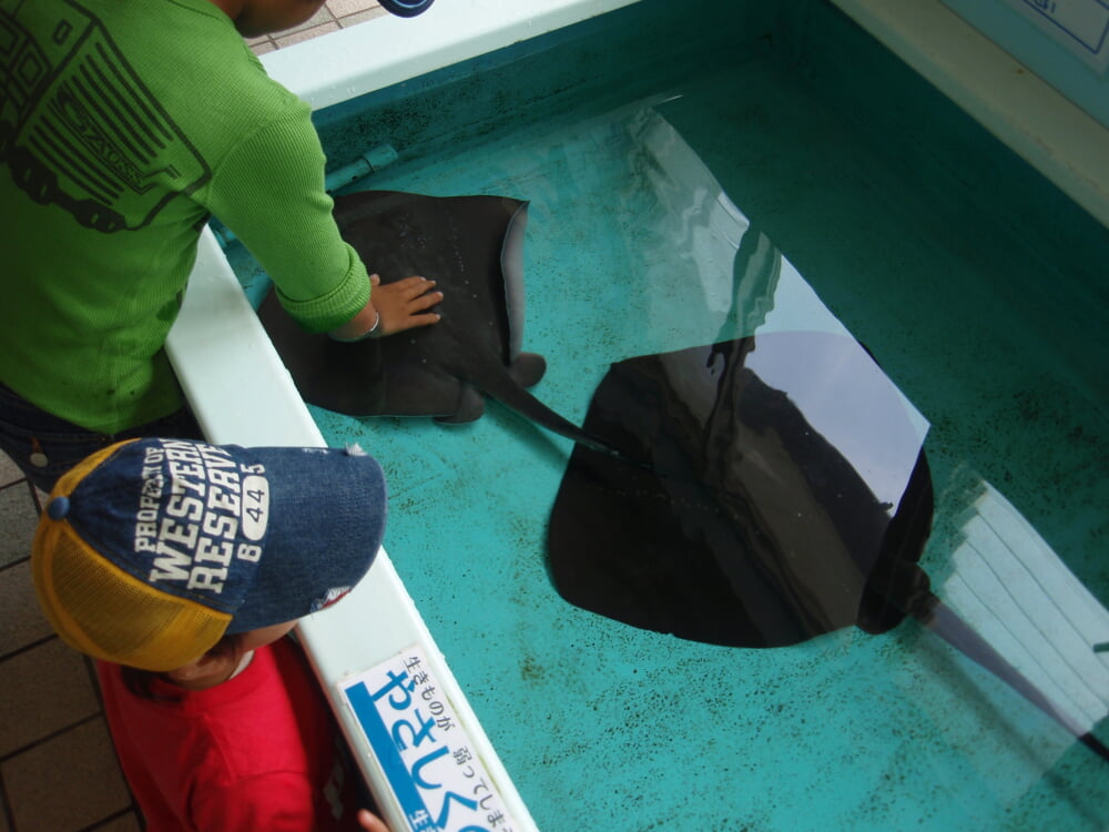 越前松島水族館の写真3