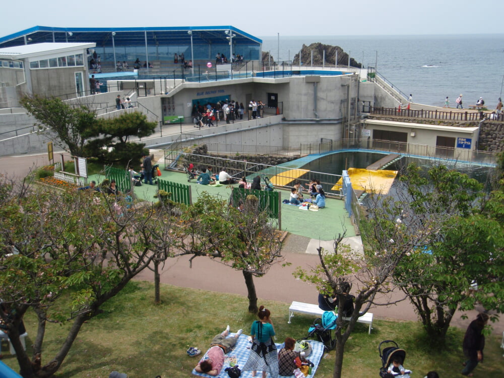 越前松島水族館の写真5