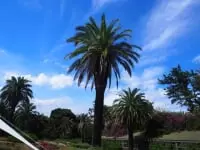 初島アイランドリゾート