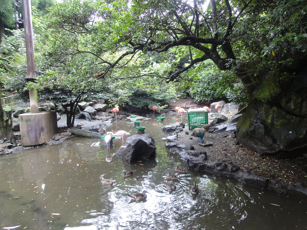 伊豆シャボテン動物公園の写真9