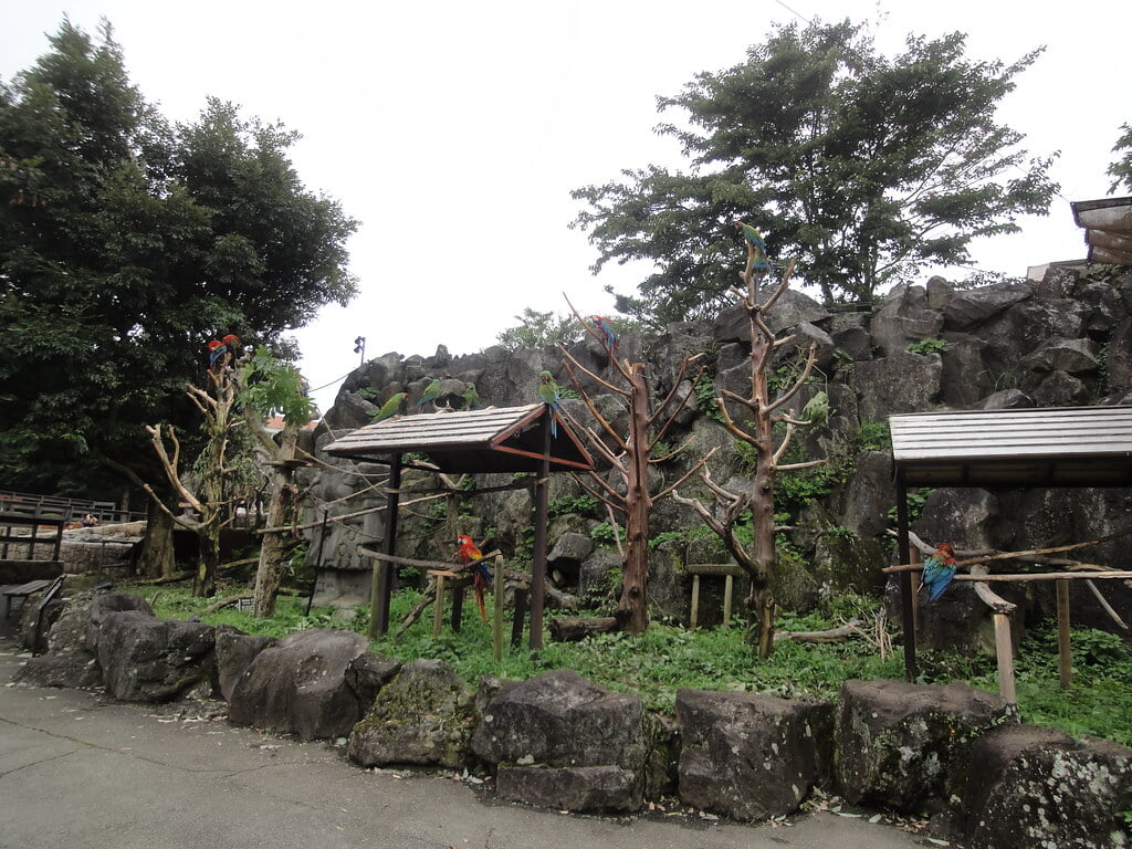 伊豆シャボテン動物公園の写真11