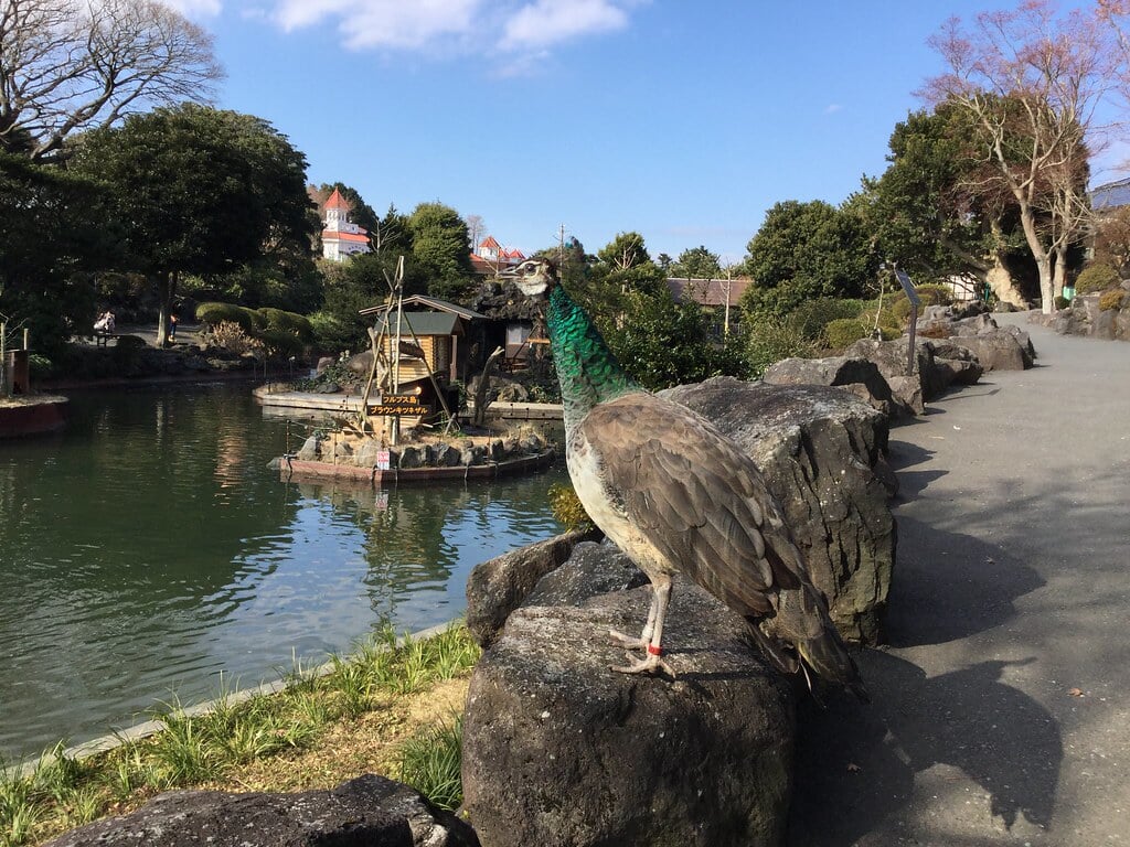 伊豆シャボテン動物公園の写真12