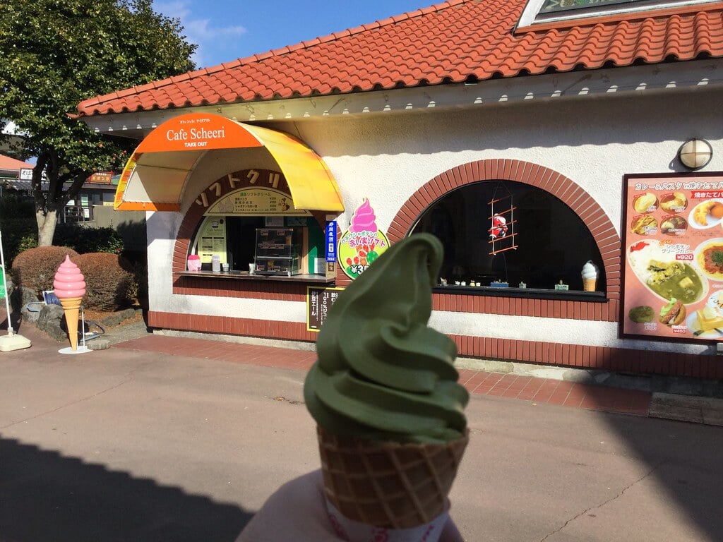 伊豆シャボテン動物公園の写真14