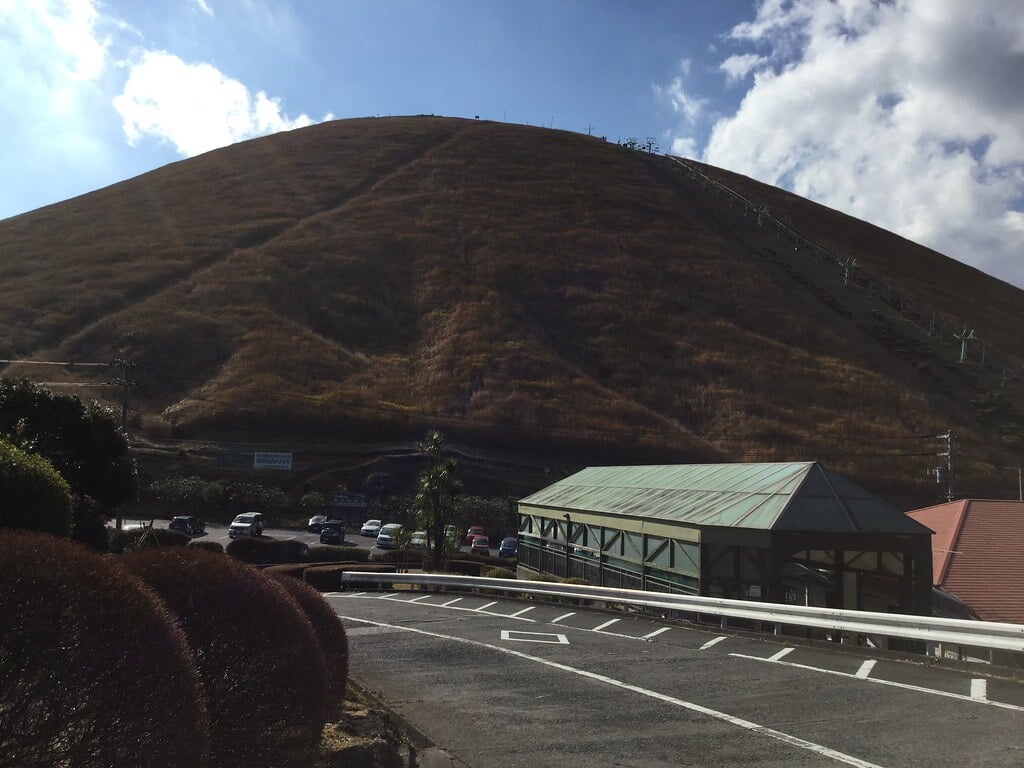 伊豆シャボテン動物公園の写真17