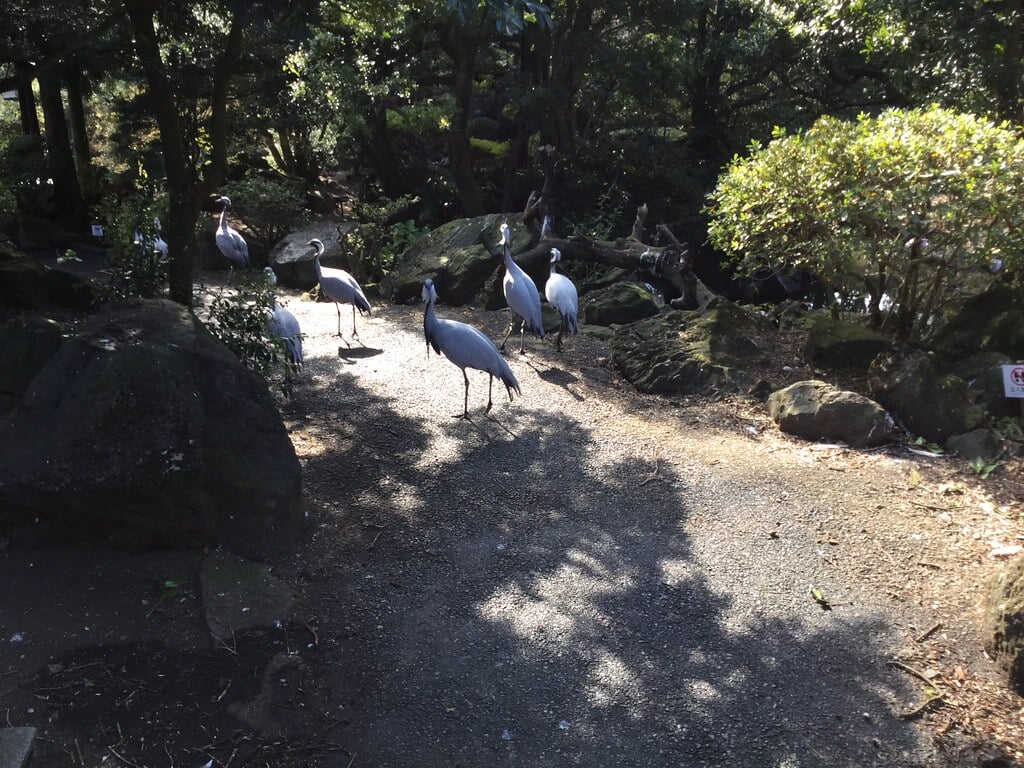 伊豆シャボテン動物公園の写真20