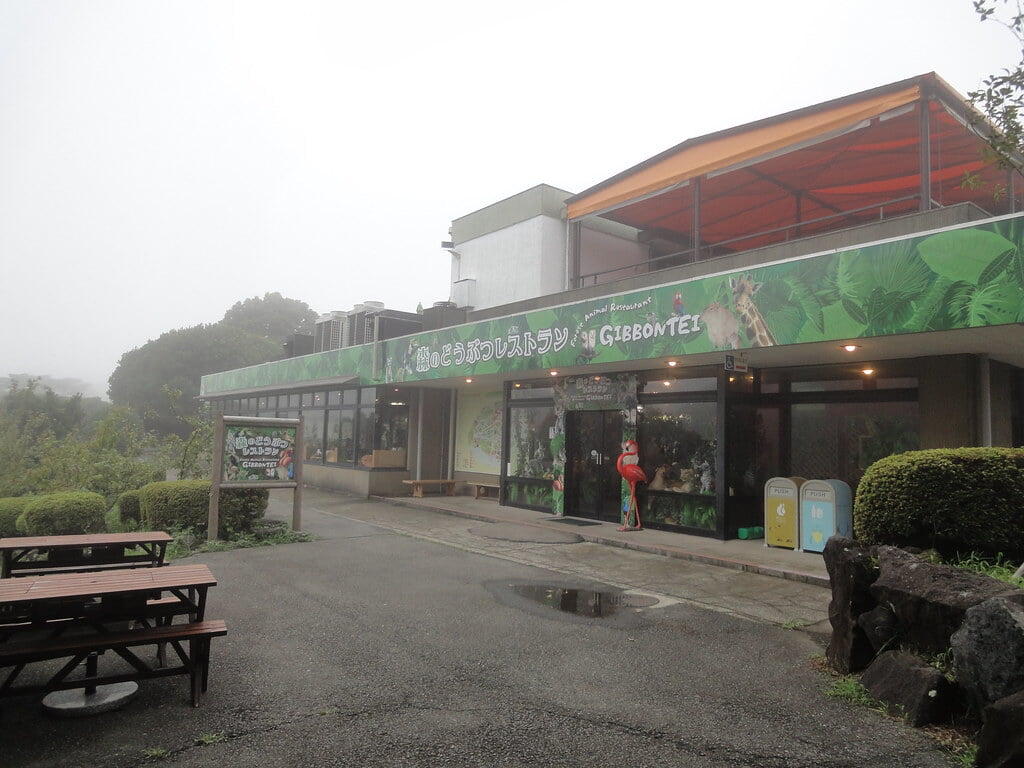 伊豆シャボテン動物公園の写真21