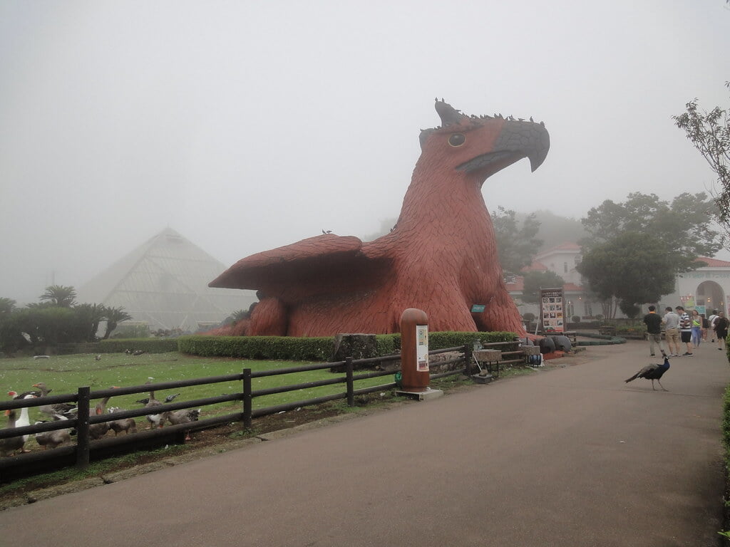 伊豆シャボテン動物公園の写真22