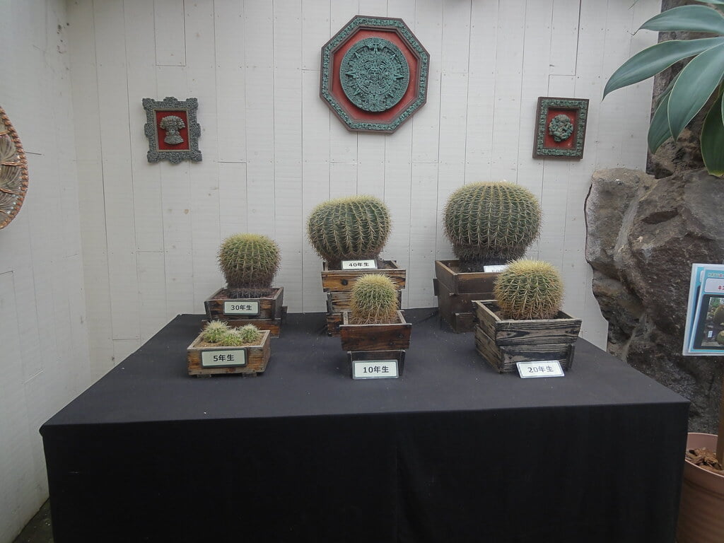 伊豆シャボテン動物公園の写真23