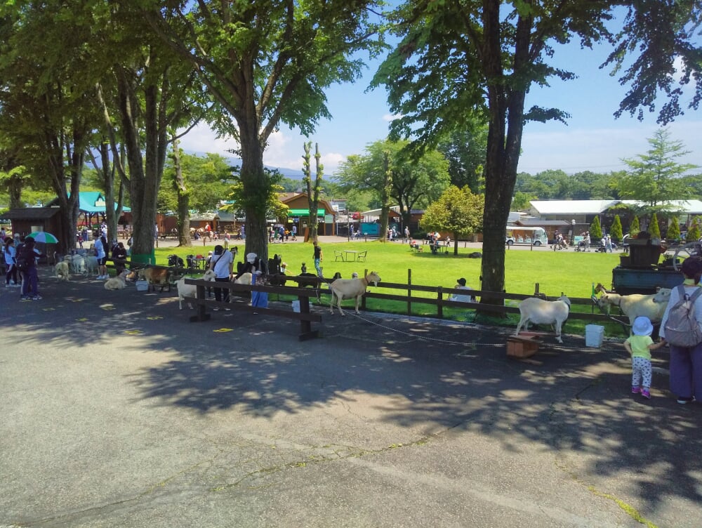 まかいの牧場の写真4