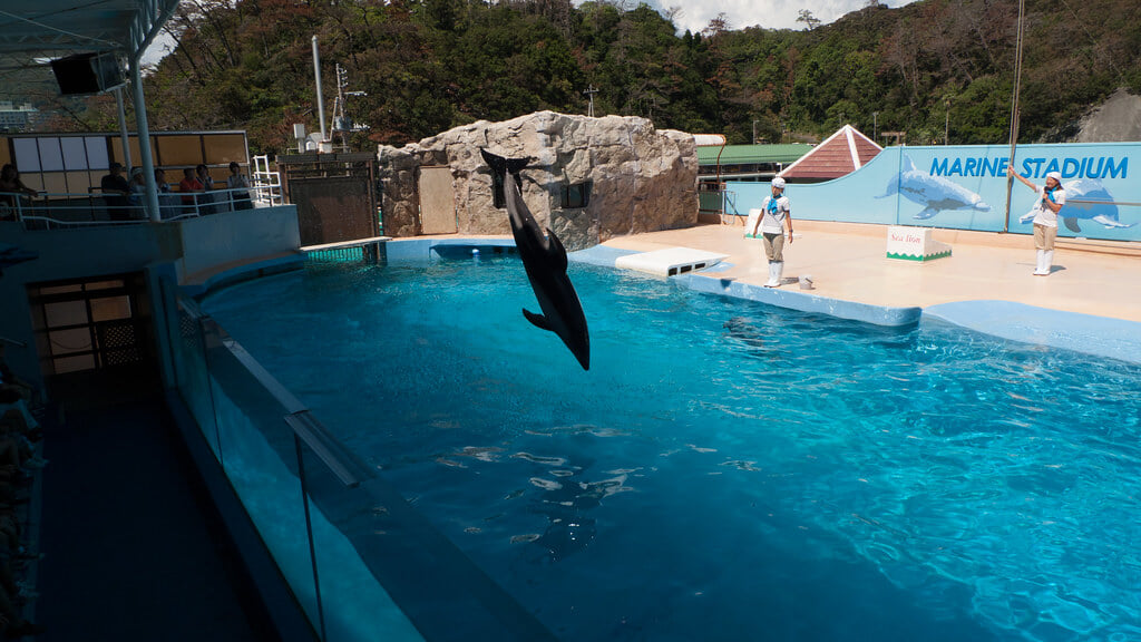 下田海中水族館の写真2
