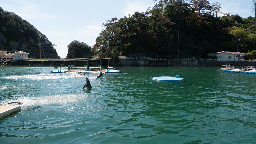 下田海中水族館の写真4