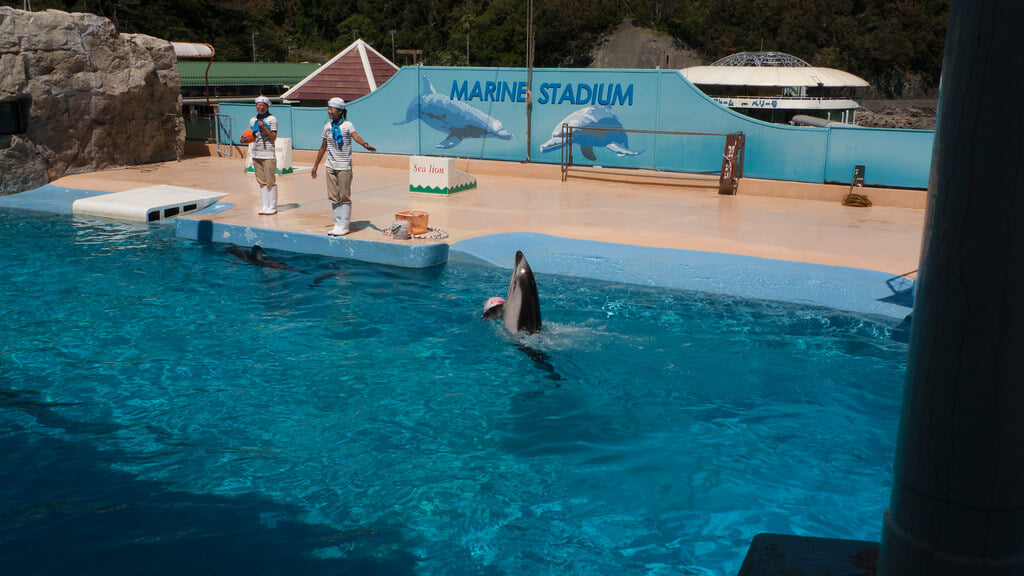 下田海中水族館の写真1
