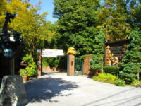 伊豆 テディ・ベアミュージアム