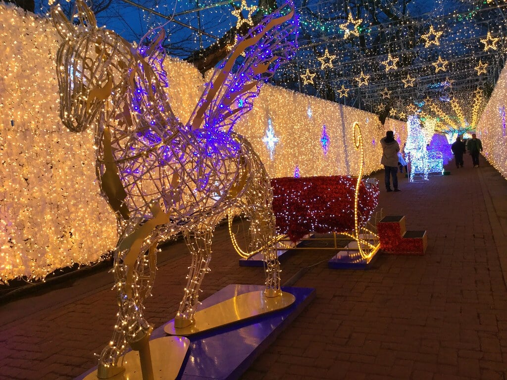 御殿場高原 時之栖の写真3