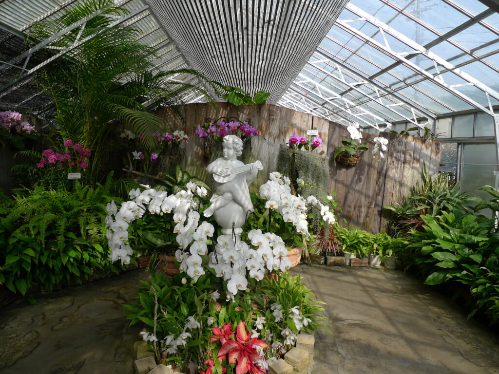 熱川バナナワニ園の写真2