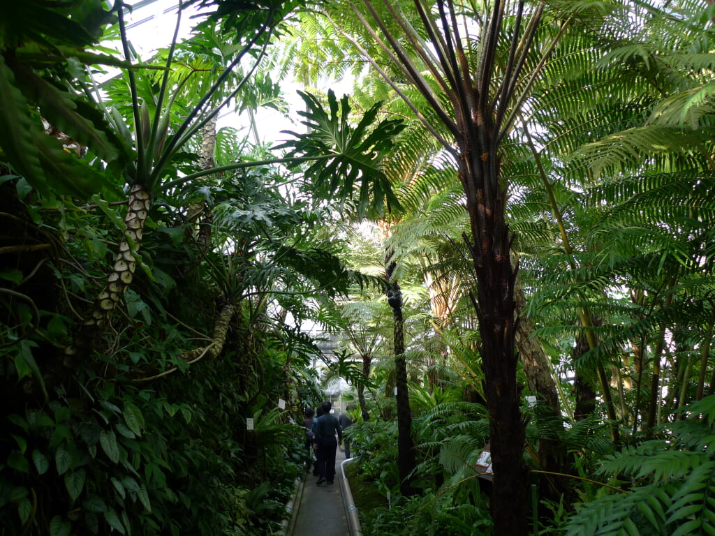 熱川バナナワニ園の写真4