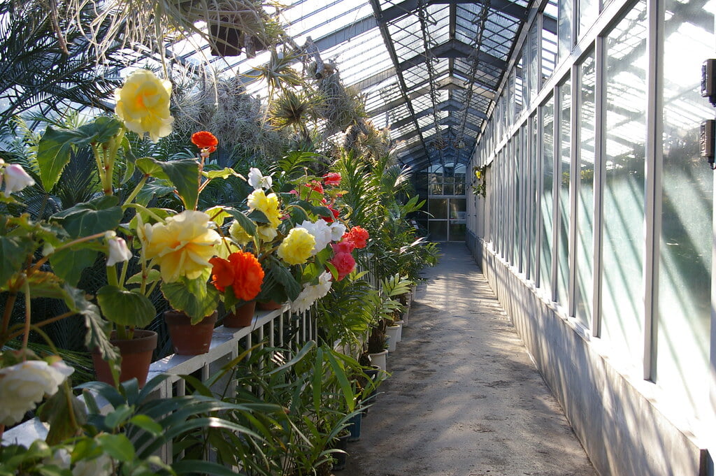 熱川バナナワニ園の写真6