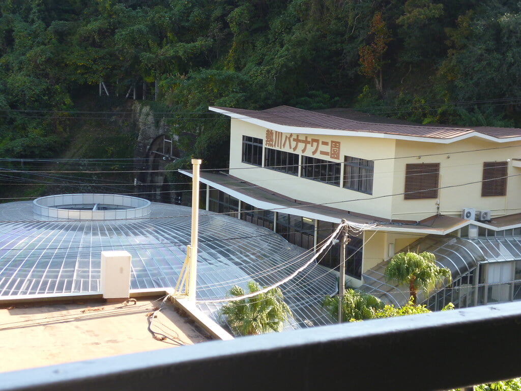 熱川バナナワニ園の写真7